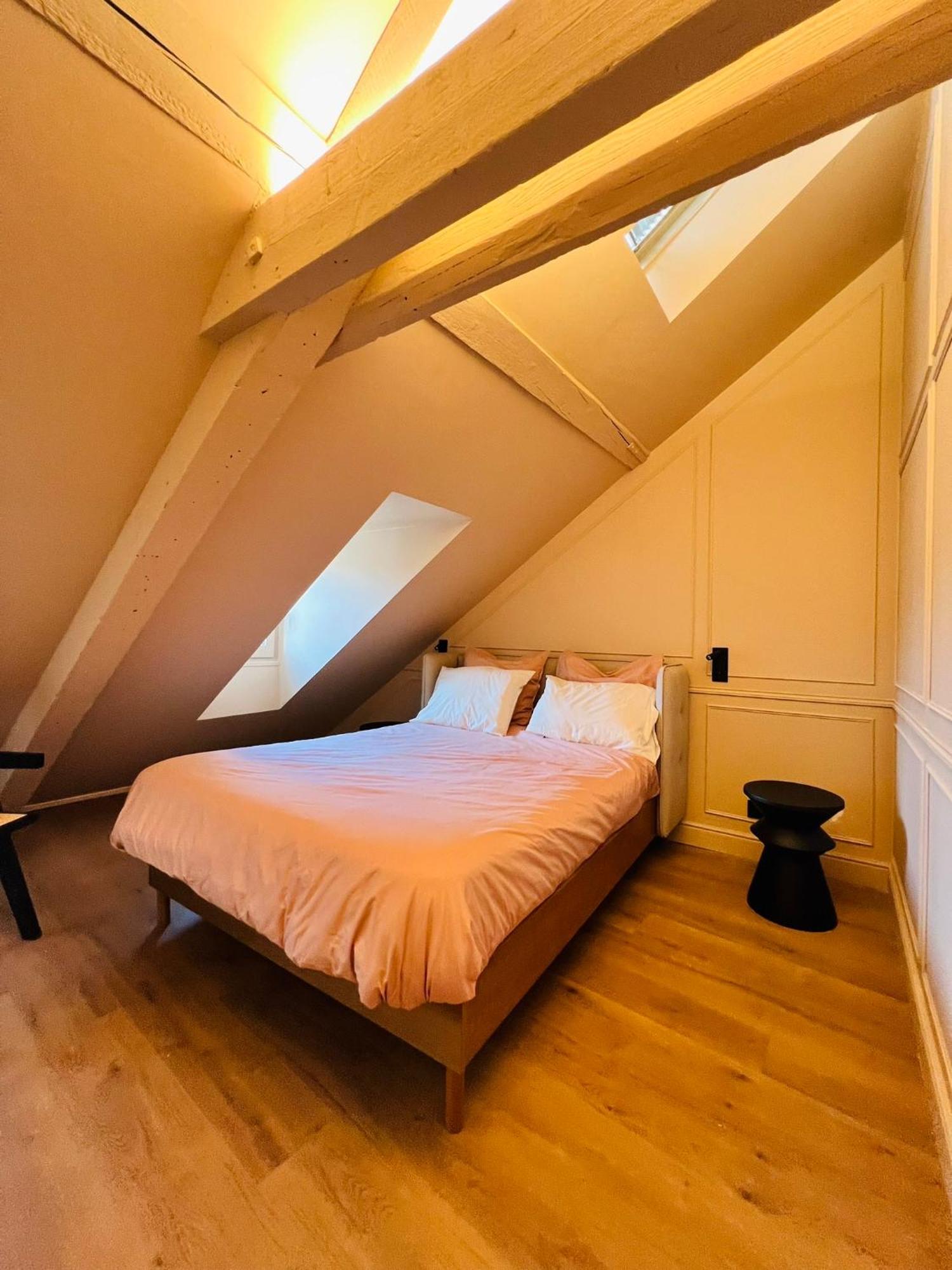 Chez Sandrine, Mon Appartement Elegant + Parking Strasbourg Ngoại thất bức ảnh
