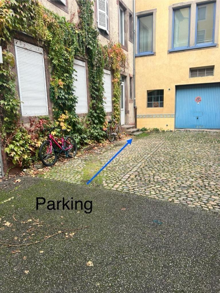 Chez Sandrine, Mon Appartement Elegant + Parking Strasbourg Ngoại thất bức ảnh